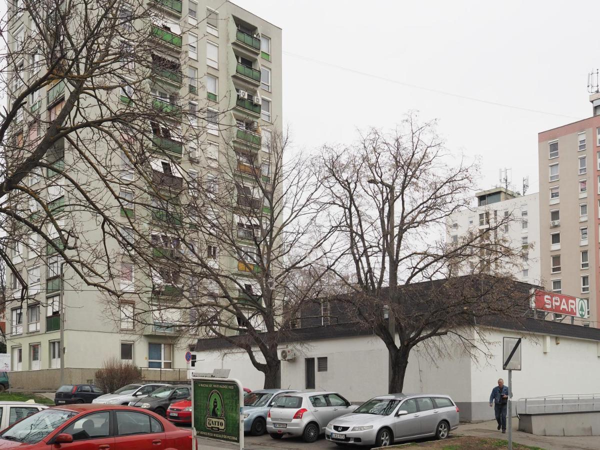 Pajger Apartman Egyetemvaros Peçuy Dış mekan fotoğraf